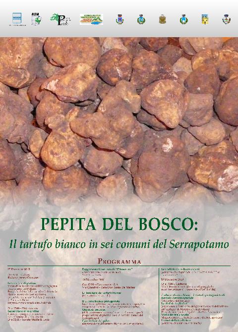 Manifesto della fiera del tartufo