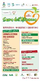 Sagra dell'Albicocca 2012  - Matera