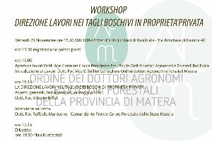 Direzione lavori nei tagli boschivi in proprieta' privata - 29 novembre 2013 - Matera