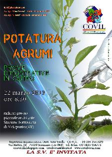 Prove dimostrative di potatura agrumi - Matera