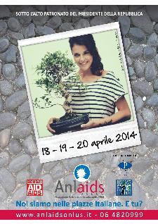 Bonsai Aid Aids  - Matera