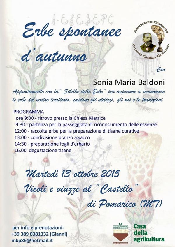Erbe spontanee d´Autunno