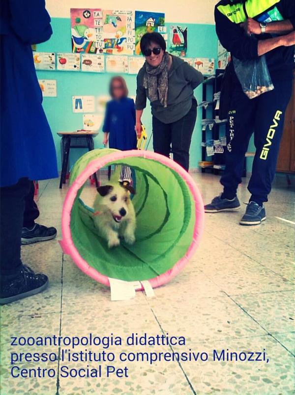 Pet Therapy