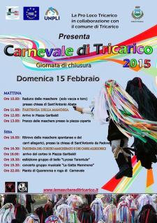 Carnevale di Tricarico 2015  - Matera
