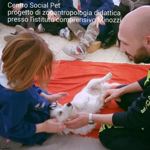 Pet Therapy