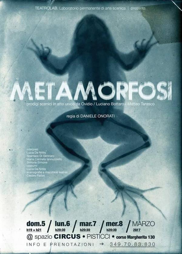 Metamorfosi 