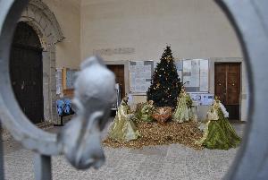 FOTOGRAFO: Armaiuoli Brunella
LUOGO: Matera, piazza sedile
DATA: 1-1-2011
