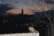 FOTOGRAFO:Anna Martino
LUOGO:Madonna delle Vergini,Matera
DATA:2 gennaio 2011