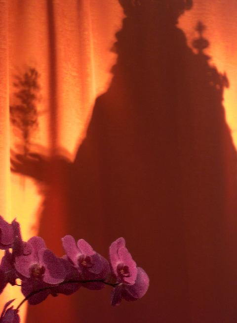 La Sua ombra... nei nostri cuori