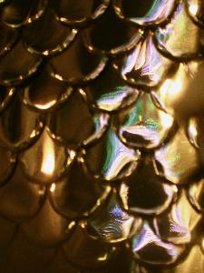 Particolare della corazza di un Cavaliere con riflesso delle luminarie - Via Annunziatella - 2 Luglio