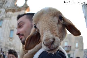 La Bruna come la Vivi 4
