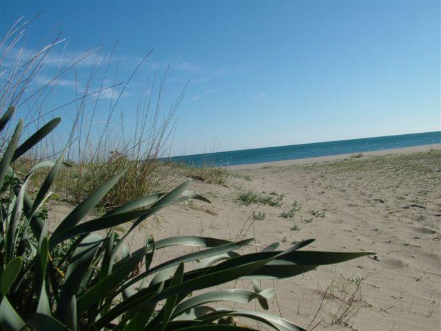 Costa Jonica (foto martemix)