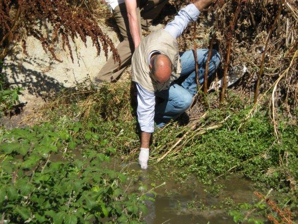 IL TORRENTE JESCE INQUINATO