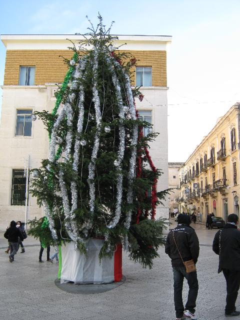 L´albero della discordia (foto Martemix)