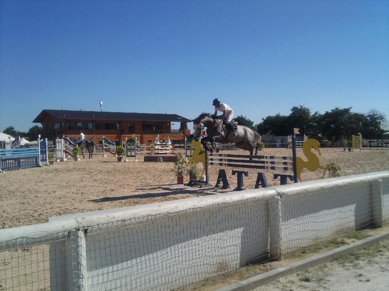 Comenius, allevato nell´Azienda Tempa Bianca