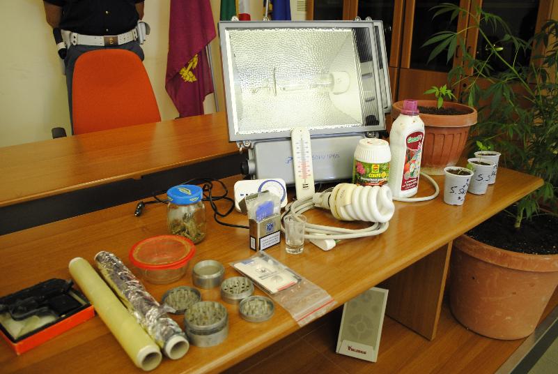 Piantagione di Marijuana rinvenuta dalla polizia di stato di Matera - Conferenza stampa del 21 giugno 2012