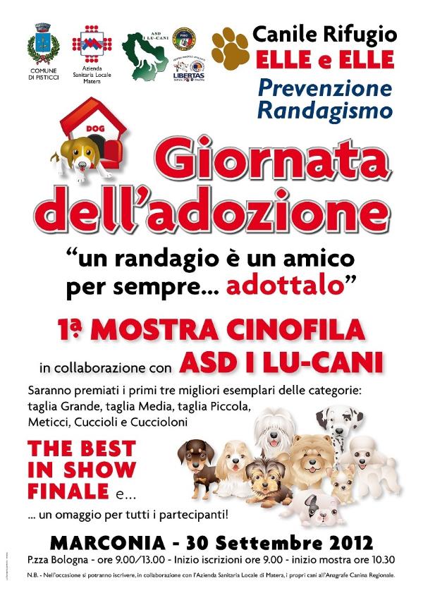 un randagio  un amico per sempre ...adottalo - 30 settembre 2012