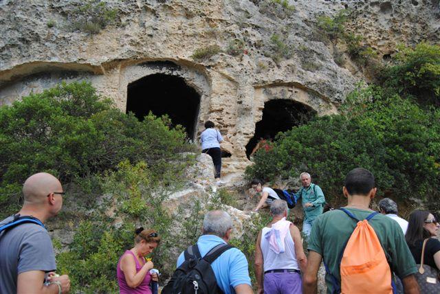Visita guidata Onyx al Bosco di Lucignano