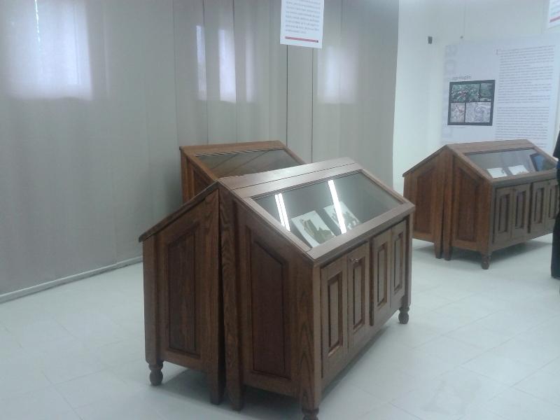 Musei dei culti arborei ad Accettura (foto Antonio Grasso)