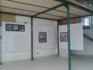 Musei dei culti arborei ad Accettura (foto Antonio Grasso)